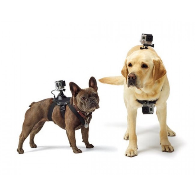 Playaround Pet Harness for Action Cameras