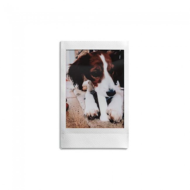 Fujifilm Instant Film for Instax Mini Cameras 2-pack 