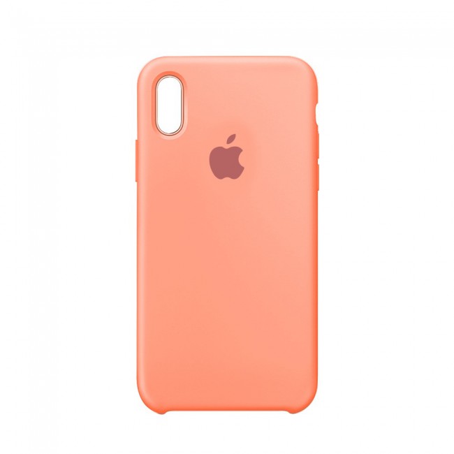Silicone Soft and Slim Back Case Cover for Apple iPhone X and iPhone XS in Warm Colors