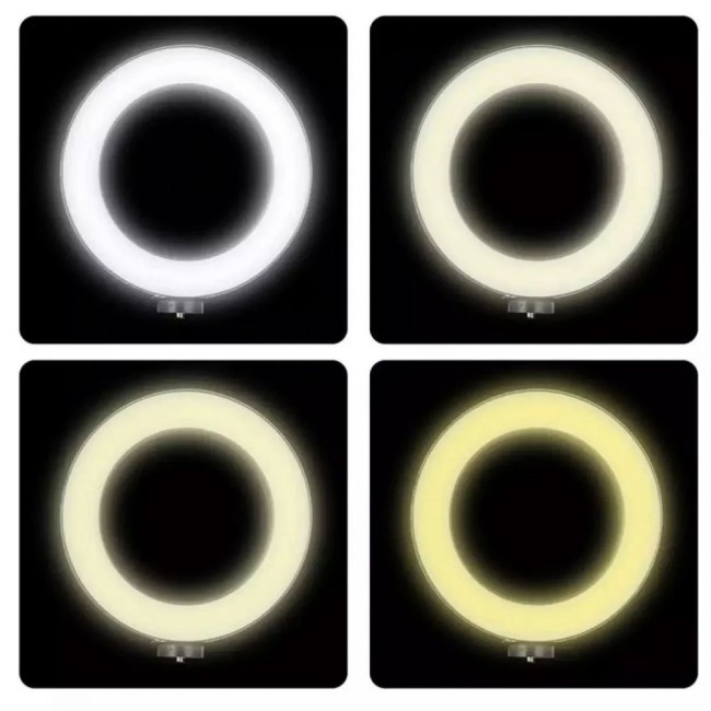 LC-330 LED Selfie Ring Fill Light with Phone Holder