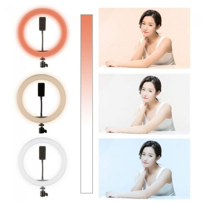 LC-330 LED Selfie Ring Fill Light with Phone Holder