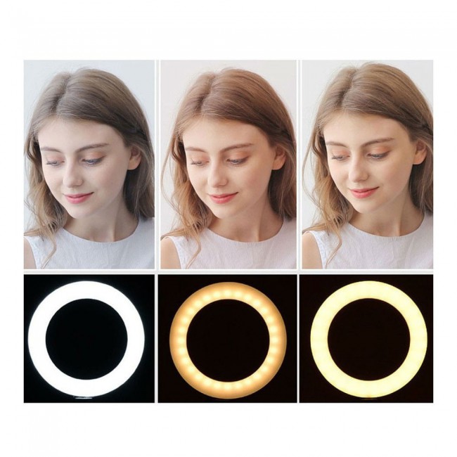 YQ-320A LED Ring Fill Light for Photography and Selfie with Holder and Stand