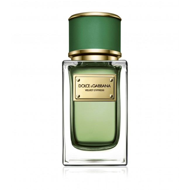 Dolce gabbana velvet cypress outlet