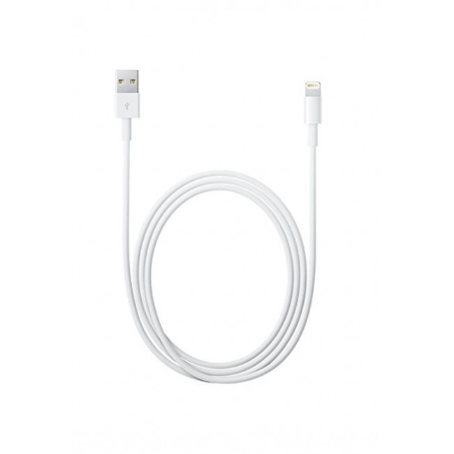 Apple Lightning to USB Cable 1m