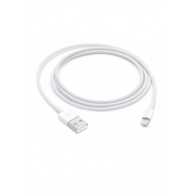 Apple Lightning to USB Cable 1m