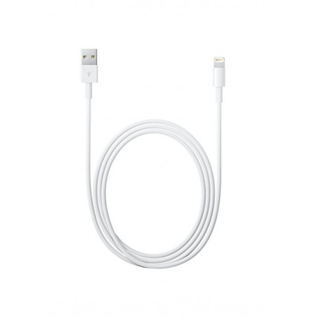 Apple Lightning to USB Cable (2 m)