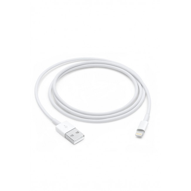 Apple Lightning to USB for iphone 6 Cable 1m in White