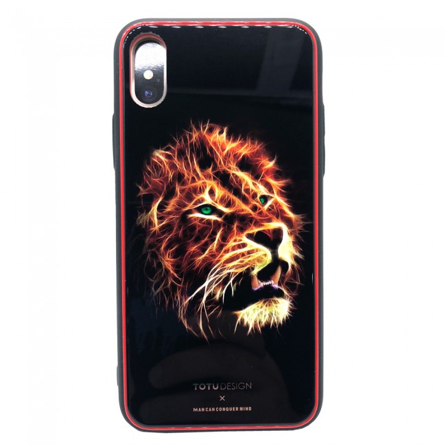 Totu Design Case for Apple iPhone X Back Cover - MG4